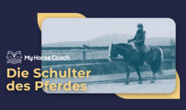 Angebote_Die-Schulter-des-Pferdes_MyHorseCoach Die Schulter des Pferdes