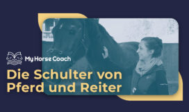 Angebote_Die-Schulter-von-Pferd-und-Reiter_MyHorseCoach Die Schulter von Pferd und Reiter