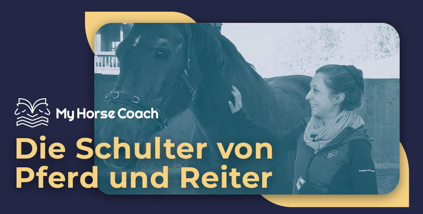 Die Schulter von Pferd und Reiter