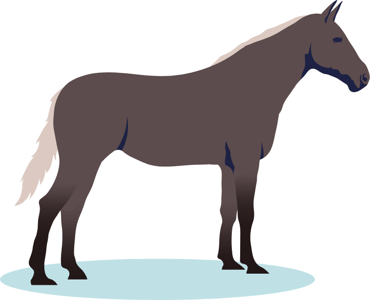 Pferd mit Hotspots