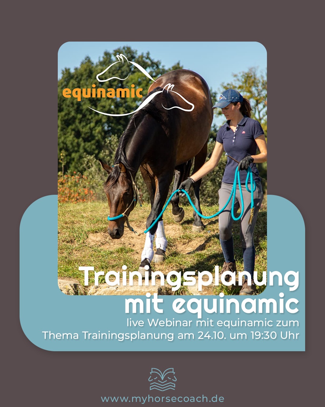 Trainingsplanung mit equimatic